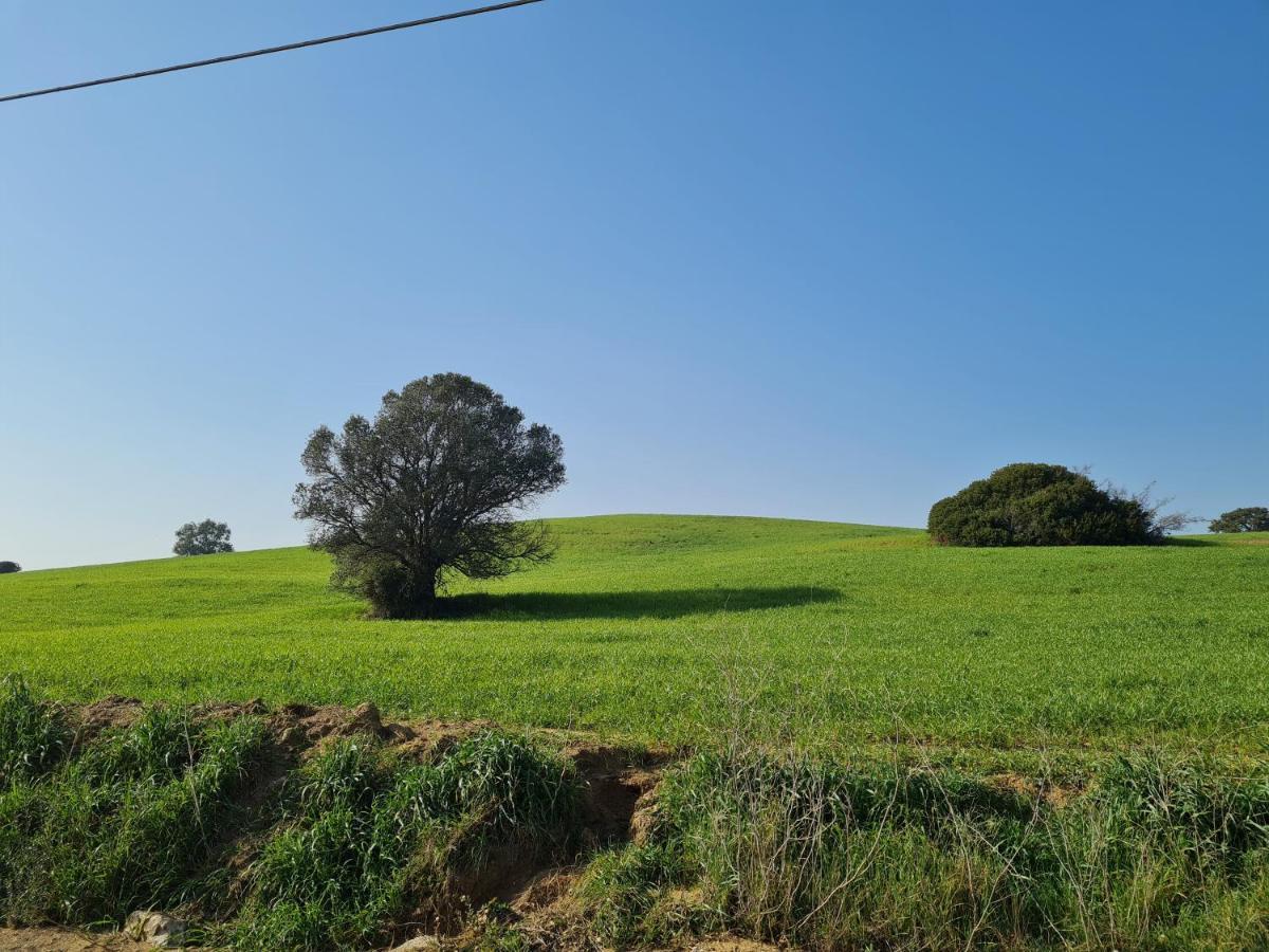 Willa Agriturismo Buonavista - Parco Della Maremma Alberese Zewnętrze zdjęcie